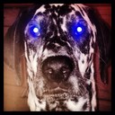 John Eales - @johneales3 - Twitter