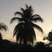 Ravi Maharaj (@ravipm2000) 's Twitter Profile