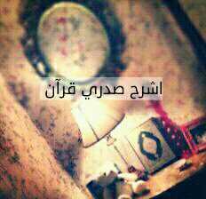 3had01's profile picture. *صدقة جارية لي ولأحبتي ولوالدي وأخوتي وموتاي *                                        اللهم ارحمني حين يصلون علي صلاة لا ركوع لها