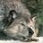 cartere884510's profile image