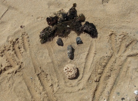 AnneEyhtMeyer's profile picture. Shrill Siren