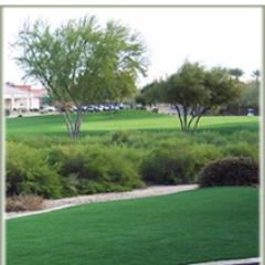 Leading Turf Supplier