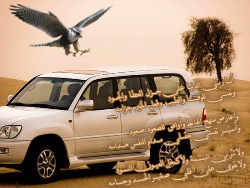 ماجيت ادور لي عناوين واسرار ولاجيت ابي مد اليدين وعطاها جيت ارسم البسمه وانا كلي اصرار وادمح مواقيف الزمان وخطاها