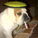 Cody Jarrett - @braunschtuler11 - Twitter