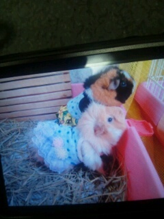 fs2323fs's profile picture. 