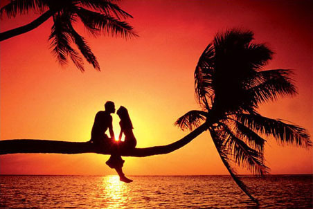 #followback  If you're in love or relationship, then follow me. Best Romantic Quotes!!