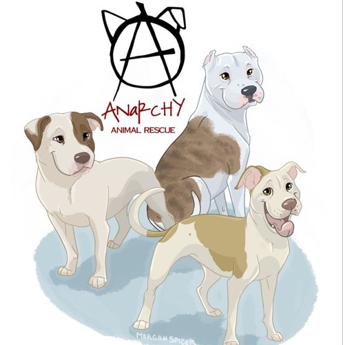 President/Co-Founder of Anarchy Animal Rescue --- http://t.co/qQy2LPqXHh