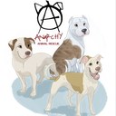 Fran Grimaldi - @FranAAR - Twitter