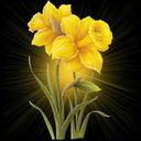 soso (@0000Asma) Twitter