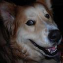 Dan Horowitz - @DanielIHorowitz - Twitter