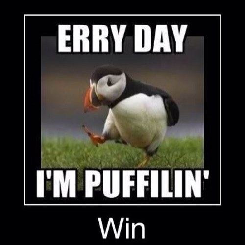 Dumb_Q_Daily's profile picture. Romans chapter six verses one and two