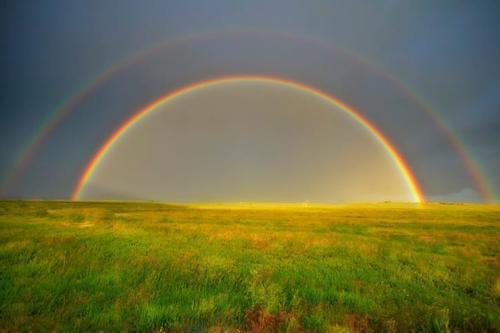 SQUIDGE176's profile picture. Far too near 50 for my liking! Charity Fundraiser for Marie Curie.
Aunty to Rufus, Dylan  Hugo. & Ethan.