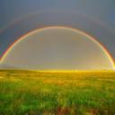 sharon crowe - @SQUIDGE176 - Twitter