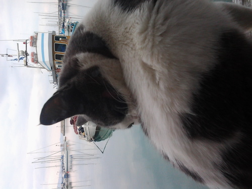 galaxytab2968's profile picture. 