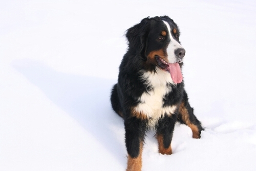 A_iori's profile picture. 