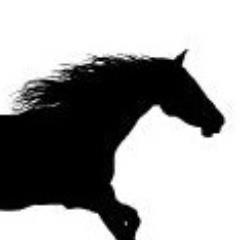 RunsToWin's profile picture. 100% FREE Australian Horse Racing Selections - http://t.co/EDIkOsaSqX