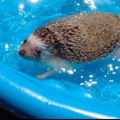 maxi (reliphone.jp)のプロフィール写真