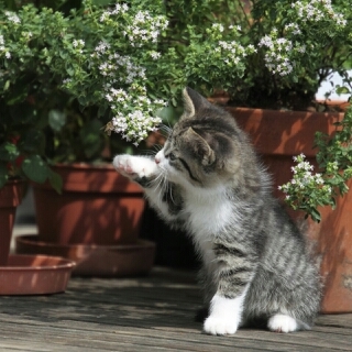 aaa_taannn's profile picture. 