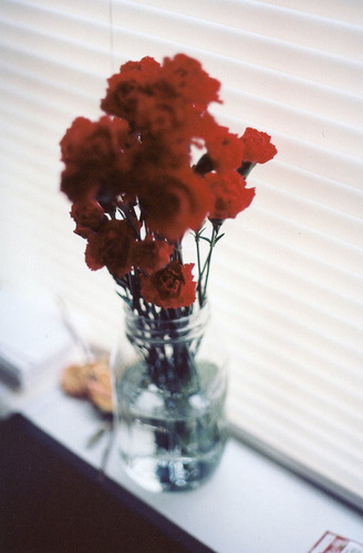 세상을 꼬아 살기
