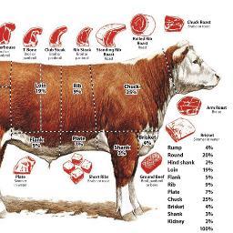 Seja Bem - Vindo! 
Aos Apaixonados pela Pecuária e Carne Gaúcha. Um ambiente que visa manter um informativo periódico da cadeia produtiva de Carne no RGS.