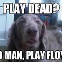 Terry Scrivner - @TerryScrivner - Twitter