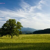 Cades Cove TN GSMNP (@cadescove) 's Twitter Profile