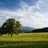CadesCove's profile image