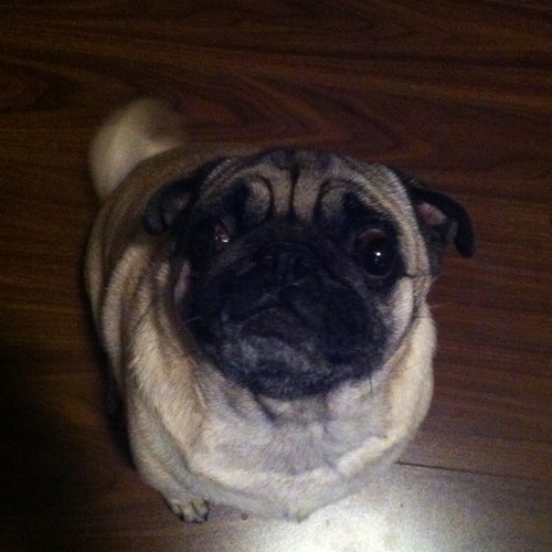 darlamay999's profile picture. 