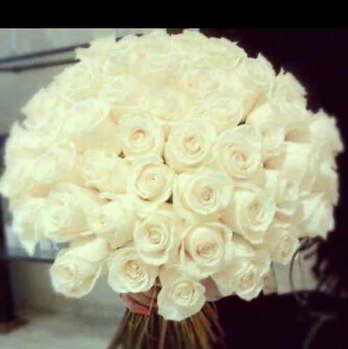 shorogabdullah's profile picture. 