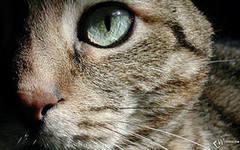 TdonnaofG9082's profile picture. 