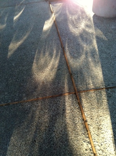 fastcloud2's profile picture. Childfree, leftish, too many books.