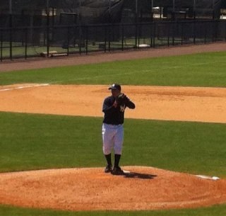 Professional baseball player