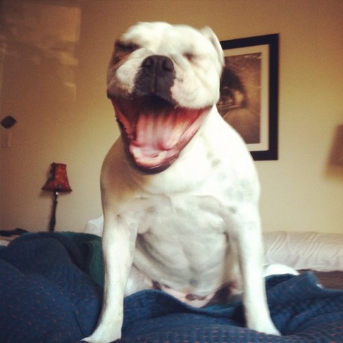 matty_VP's profile picture. 