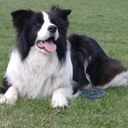 Baxter Reid - @BaxterReid - Twitter