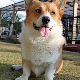 datekkopapa's profile picture. 会社員　生年月日1956/8/4