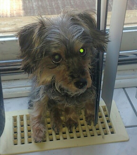 lxandrthegr8's profile picture. 