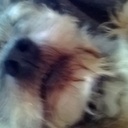 Roger  Thorne - @rogthorne - Twitter