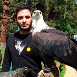 RorytheChops's profile picture. Copywriter. Occasional camera pointer. Former sporter of sideburns.