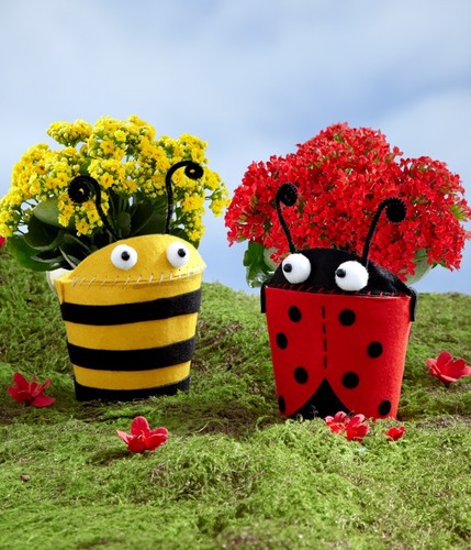 juliamerlani's profile picture. I am an information junkie, passionate about learning new things... and much more