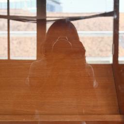 amandanab's profile picture. 🧚‍♀️