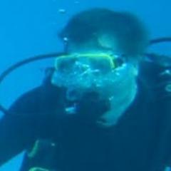 jfkrieger's profile picture. 