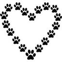 Phoebe Webber - @PhoebeWebber - Twitter