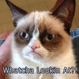 Keeping a Collection of Funny Photos and Images