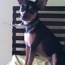 Moraima López - @MoraimaLpez - Twitter