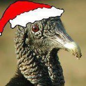 jcesarbaltazar's profile picture. Domador de pecas, experto en botellas y padre de más de 5.