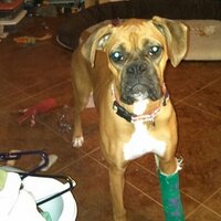 TiggerATC (@tiggeratc) 's Twitter Profile