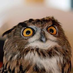 GreaterGrafton's profile picture. It's all about Grafton, Mass.