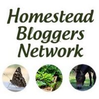 Homestead Bloggers(@HomesteadBlogs) 's Twitter Profile Photo