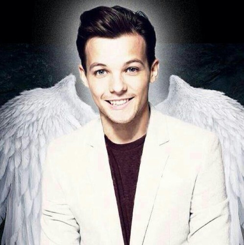 Just another directioner. i follow back