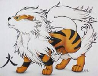 Im Helios, im just an normal arcanine running around. My master is @KJboothby #single #lvl 100